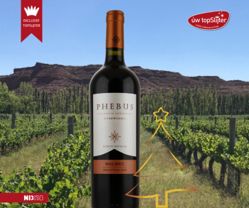 Phebus Reservado Malbec Patagonia - wijn - kerst-  uw topSlijter website