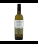 Ancora Pinot Grigio