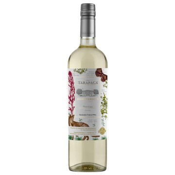 Tarapacá Varietal Pinot Grigio